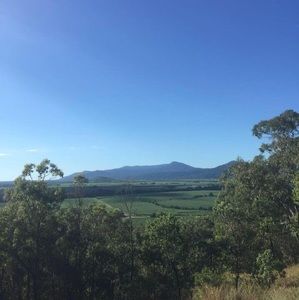 Meet your Posher, Dionne